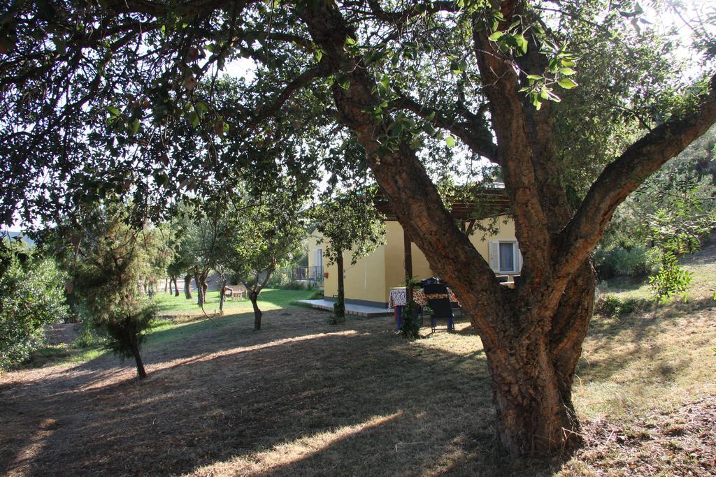 Villa Agriturismo S'Arxola Teulada Exterior foto